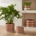 Rio Ceramic Planter, Terracotta