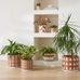 Rio Ceramic Planter, Terracotta