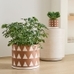 Rio Ceramic Planter, Terracotta