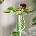 Glass Green Iris Clip-On Ornament