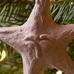 Cotton Mache Star Ornament