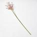 Faux Firework Allium Stem