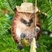 Dapper Bottlebrush Camping Ornaments