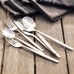 Sidney Stainless Steel Flatware, Set of 5, Champaigne Satin