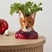 Dapper Animal Planters