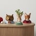 Dapper Animal Planters