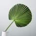 Faux Botanicals, Fan Palm