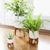 Mid-Century Turned Leg Standing Planters - Solid