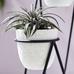 Iris Indoor/Outdoor Planter & Chevron Stand - Triple