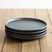 Aaron Probyn Stoneware Kanto Dinnerware , Set of 4