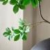 Faux Blackthorn Branch, Green