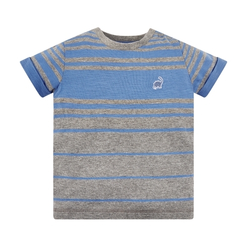 Grey And Blue Striped Dino T-Shirt