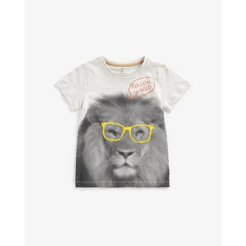 Boys Short Sleeves T-Shirts Monochrome Lion Print-Multicolor