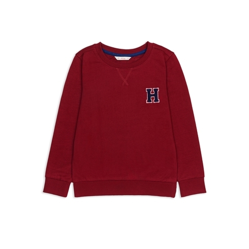 H by Hamleys Boys  Sweatshirts -Pack Of 1-Wine