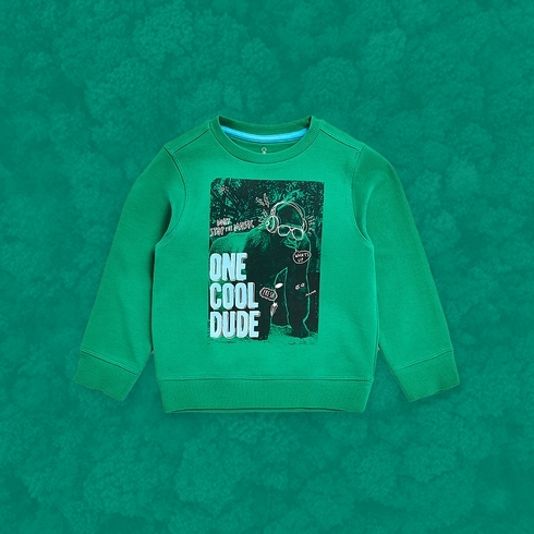 Boys Full Sleeves Sweatshirt Photographic Print-Green