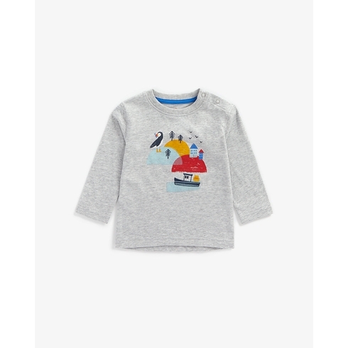 Boys Full Sleeves T-Shirt Bird Print - Grey