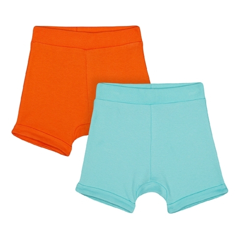 Boys Shorts- Multicolored
