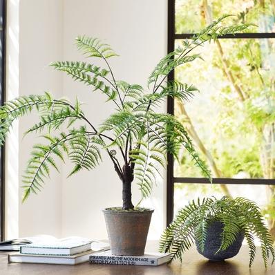 Faux Potted Trunked Curly Fern