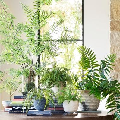 Faux Oversized Potted Fern