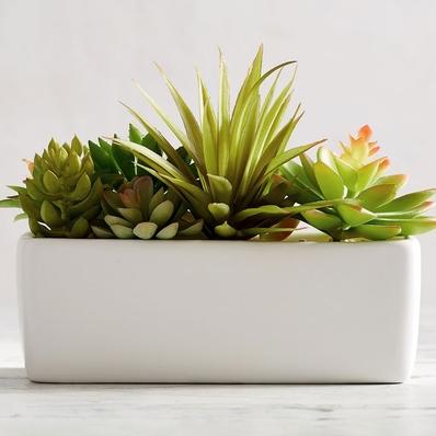 Faux Potted Succulent Arrangement-White