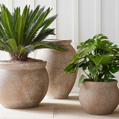 Azina Planters