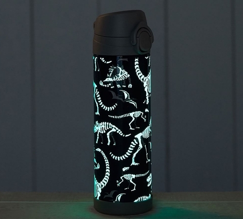 Regular Mackenzie Water Bottle Blue Gray Glow-in-the-Dino