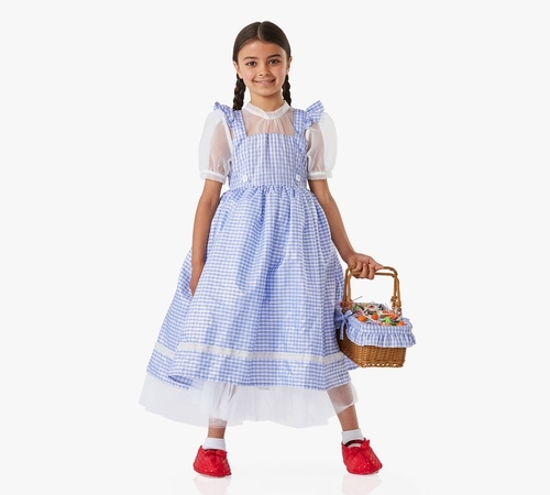 The Wizard of Oz Dorothy Costume