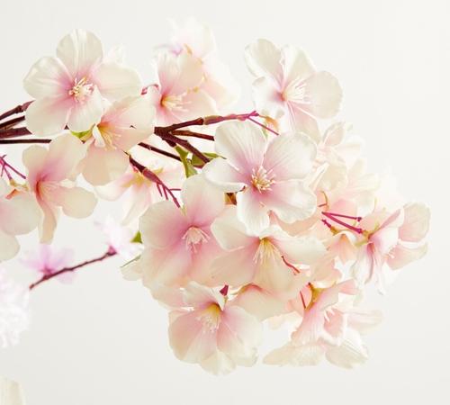 Faux Elevated Mixed Cherry Blossom Bundle