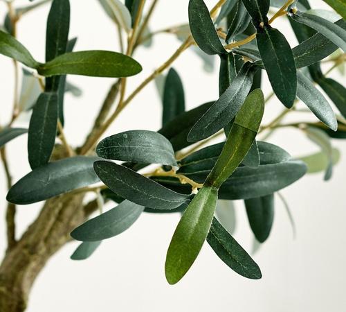 Faux Potted Olive Houseplant