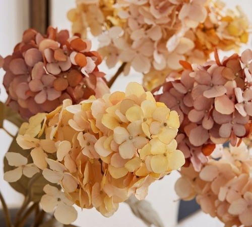 Faux Cone Hydrangea