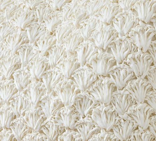 Shell Crochet Pillow