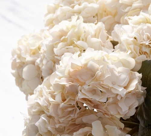 Faux Lace Hydrangea Bundle