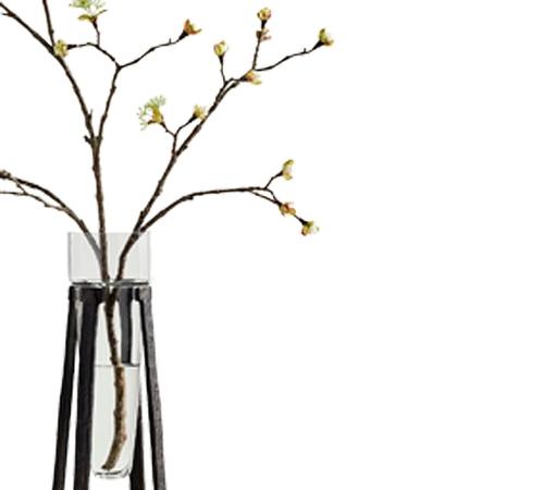 Bronze Tripod Glass Vases