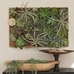 Faux Succulent Wall Art