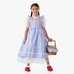 The Wizard of Oz Dorothy Costume