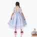 The Wizard of Oz Dorothy Costume