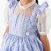 The Wizard of Oz Dorothy Costume