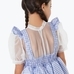 The Wizard of Oz Dorothy Costume