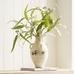 Artisan Terracotta Vase, White