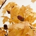 Faux Golden Oak Branch With Acorns