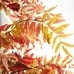 Faux Sumac Branch