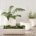 Concrete Fluted Planters, Chalk