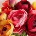 Faux Vibrant Spring Ranunculus Bundle