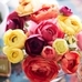 Faux Vibrant Spring Ranunculus Bundle