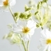 Faux Queen Anne's Lace And Cosmos Bouquet