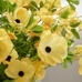 Faux Yellow Butterfly Ranunculus Bundle