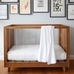 Sloan Acrylic Convertible Crib