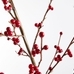 Faux Berry Branch - Red