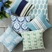 Hanu Embroidered Outdoor Pillow