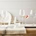 Zwiesel Classico Burgundy Wine Glasses